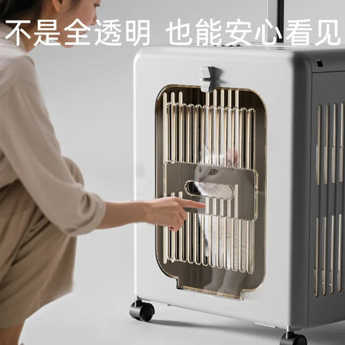 Breathable Plastic Pet Carrier